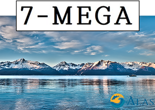 VITECH’s “Omega-7” Obtains MFDS Individual Recognition for S…