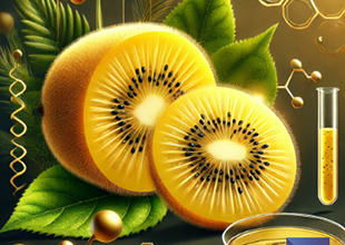 VITECH’s Gold Kiwi Probiotic Ferment “Kiwibiotics®” Register…
