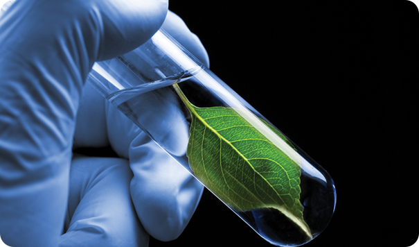 연혁 - 창업과 도약기 이미지