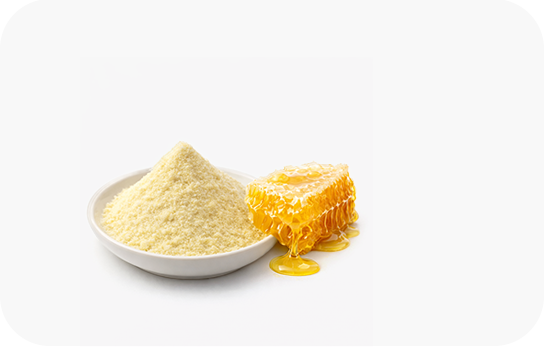 로얄젤리 분말 이미지